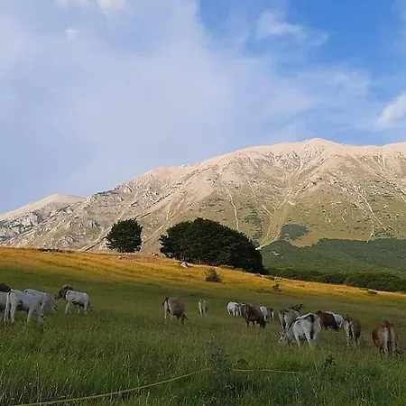 La Casetta Di Laura Holiday home *