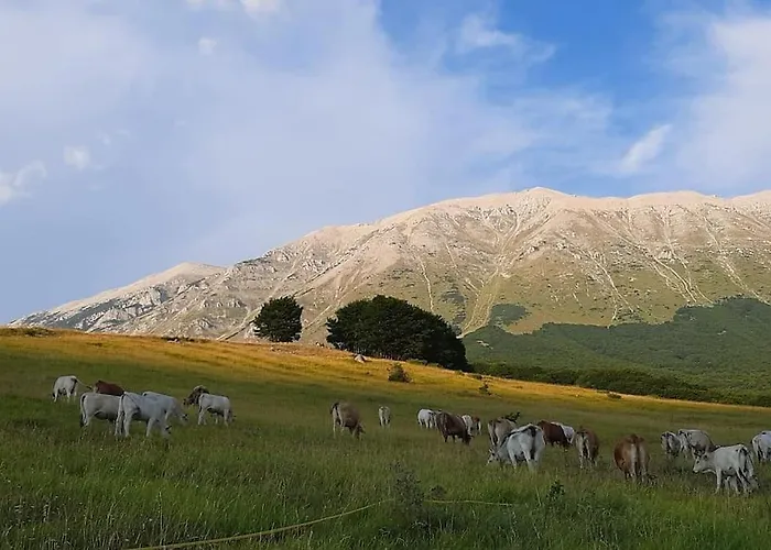 La Casetta Di Laura Σπίτι διακοπών *